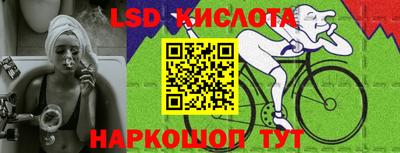 2c-b Кингисепп