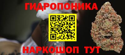 2c-b Кингисепп