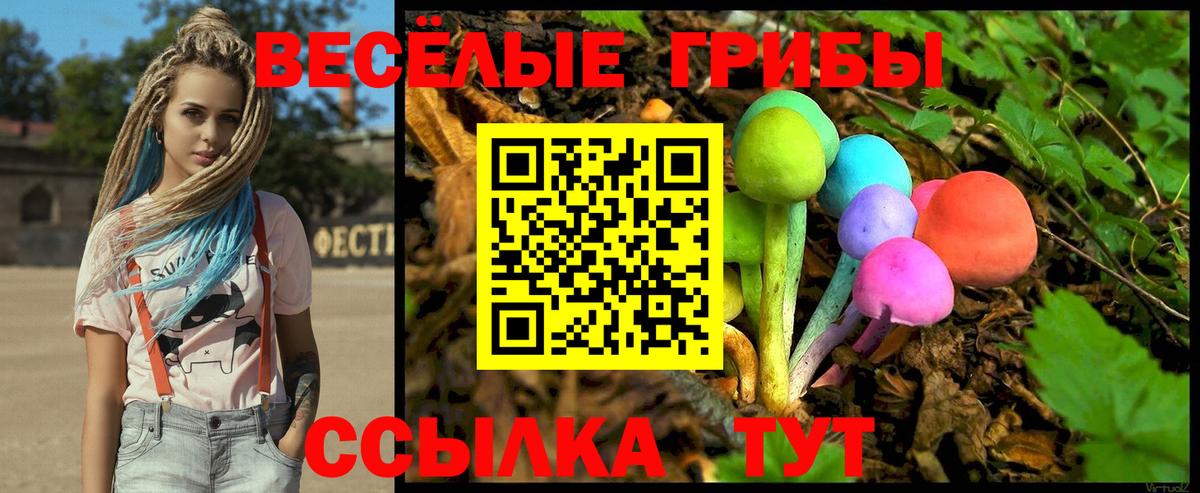 Псилоцибиновые грибы прущие грибы Краснознаменск