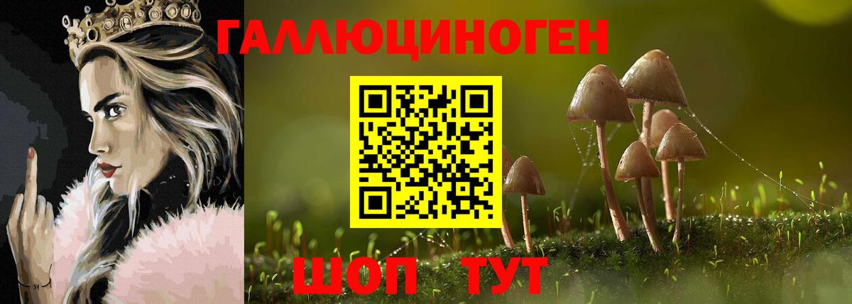 Краснознаменск  как найти закладки  Вход с VPN  Псилоцибиновые грибы GOLDEN TEACHER 