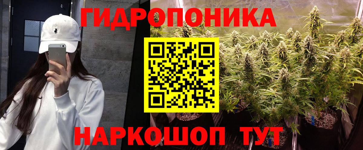Бошки марихуана планчик  Вход с VPN  Шишки марихуана LSD WEED  Марихуана марихуана  Марихуана тримм  Краснознаменск 